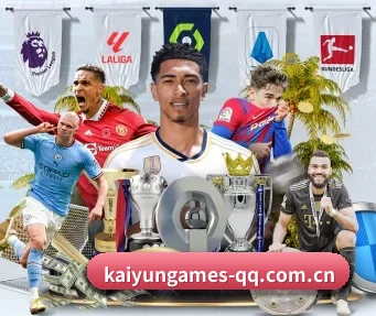 开云体育 APP - KAIYUN SPORTS